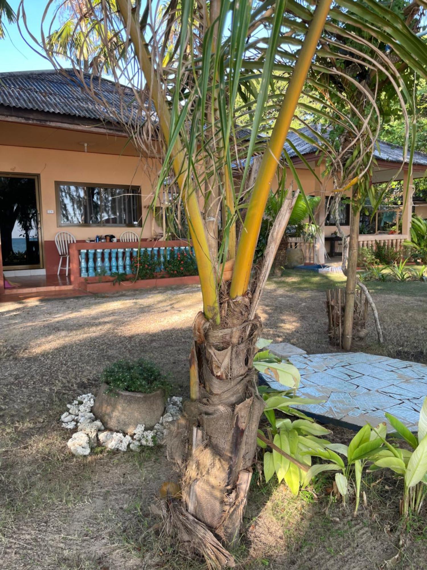 Baanyaiguesthouse Ко Мак Екстериор снимка